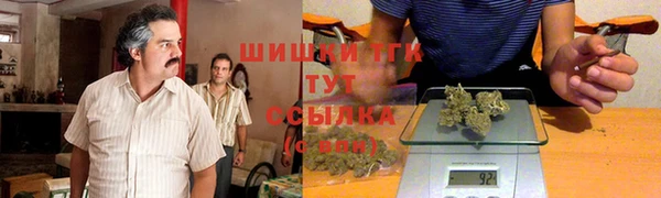 круглые Ельня