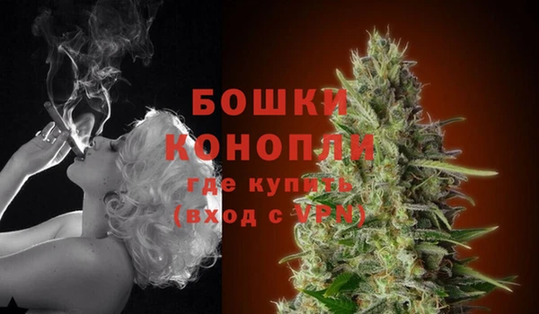 круглые Ельня